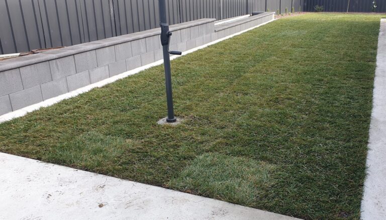 turf